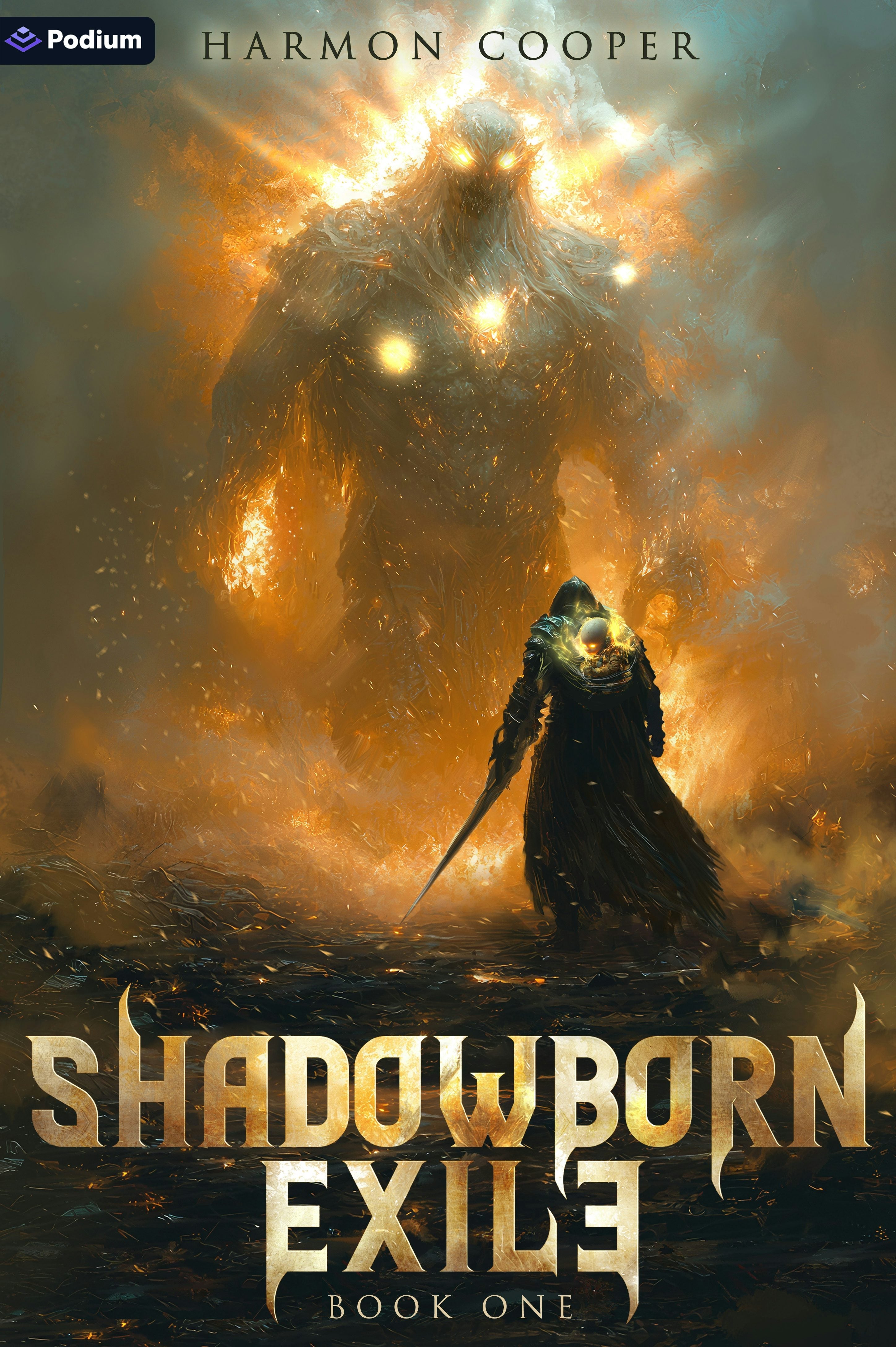 Book cover image for Shadowborn Exile ISBN: 9781039477292